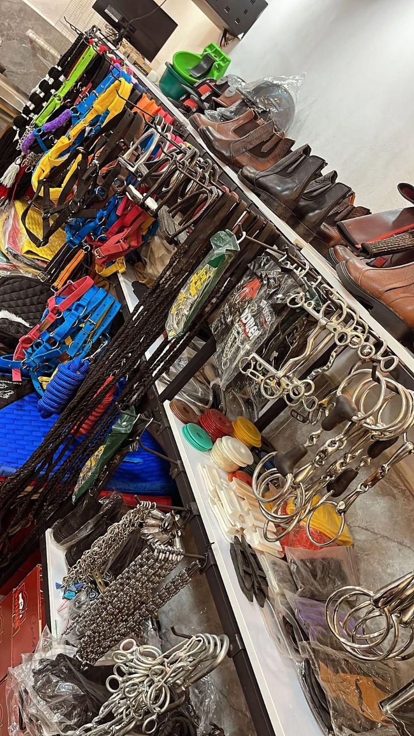 لوازم اسب و سوارکاری|اسب و تجهیزات اسبسواری|چالوس, |دیوار