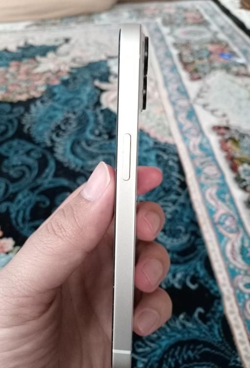 اپل آیفون iPhone 13 همراه با گارانتی|موبایل|مرودشت, تامین اجتماعی‎|دیوار
