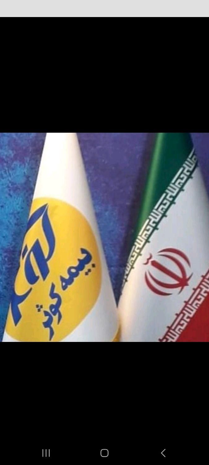 بیمه ثالث و بدنه حضوری و غیر حضوری|خدمات مالی، حسابداری، بیمه|شیراز, خلدبرین|دیوار