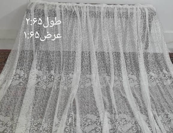 پرده توری|پرده، رانر، رومیزی|گرگان, |دیوار