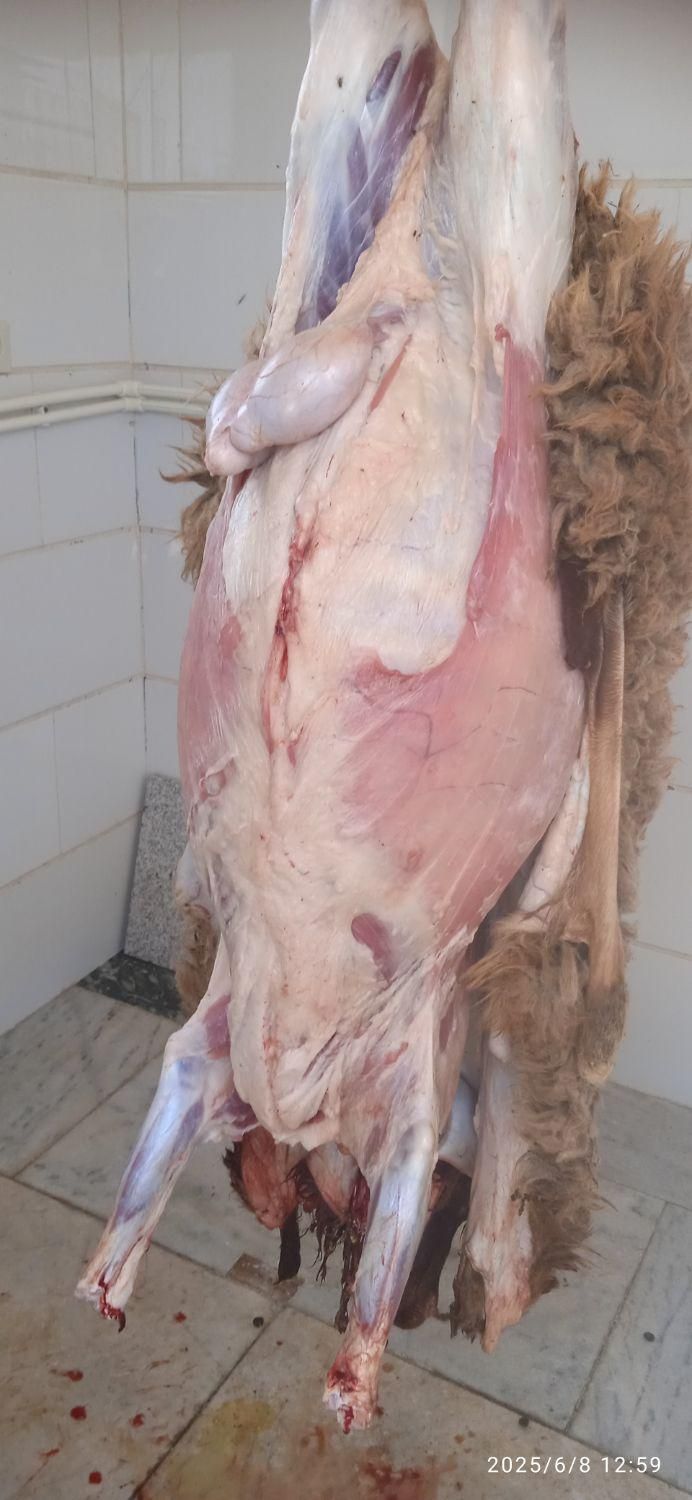 قصاب، سلاخ، حرفه ای سیاردرمحل|خدمات پذیرایی، مراسم|ملایر, |دیوار