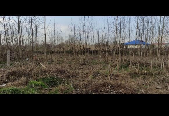 ۳۰۰ متر زمین در بجاربنه رشت (قابل معاوضه)|فروش زمین و ملک کلنگی|رشت, حومه رشت|دیوار