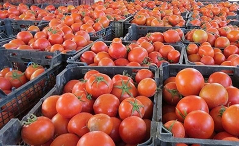تره بار(صیفیجات )|خوردنی و آشامیدنی|تهران, خانی‌آباد|دیوار