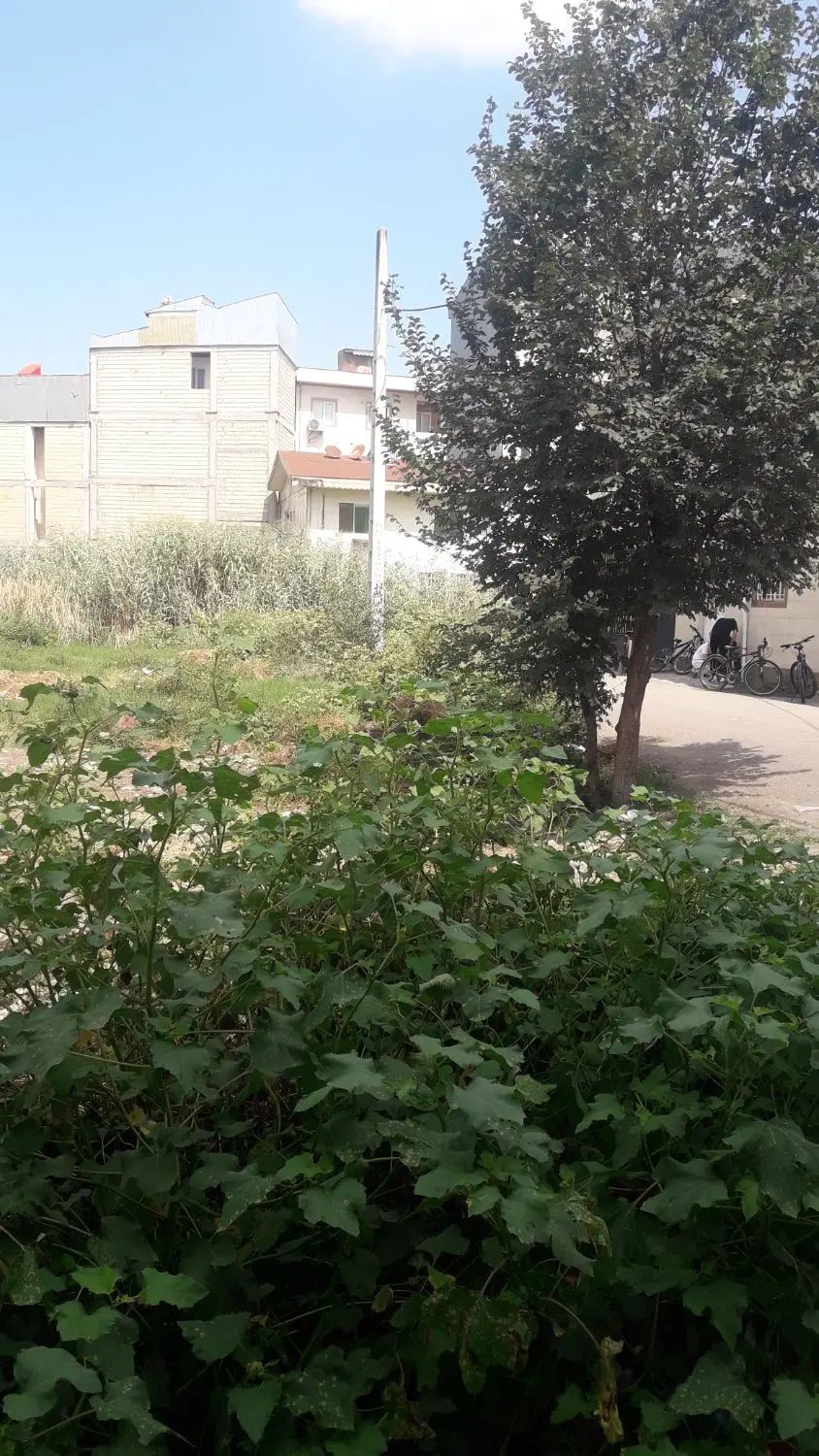 فروش زمین ۱۰۸ متری دوبر در حمیدیان موسی پور|فروش زمین و ملک کلنگی|رشت, پاره بیجار|دیوار