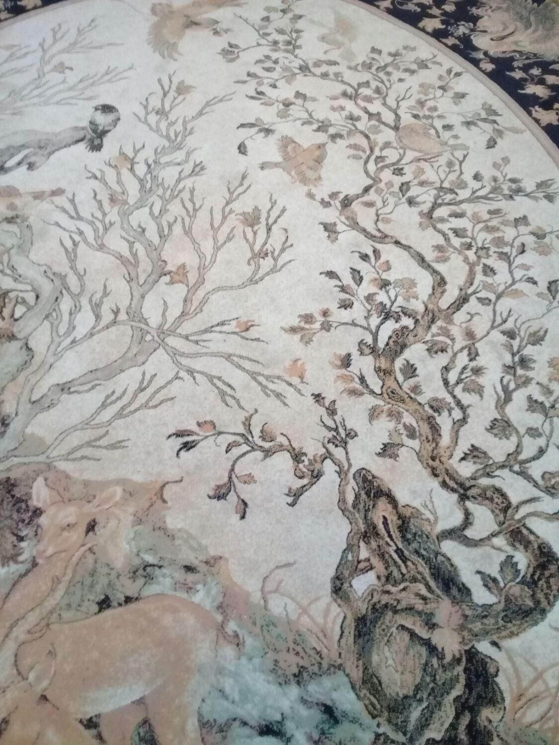 قالیشویی درخشان|خدمات نظافت|یاسوج, |دیوار