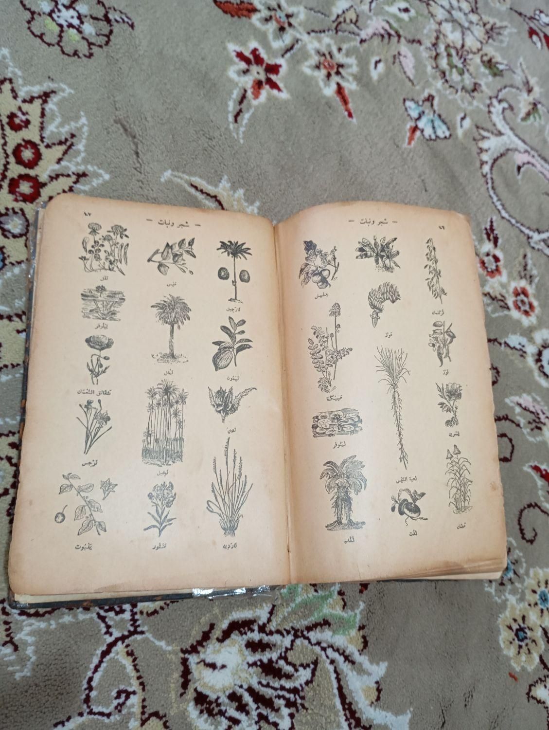 کتاب بسیارقدیمی درباره گیاهان دارویی|کتاب و مجله مذهبی|شاهین دژ, |دیوار