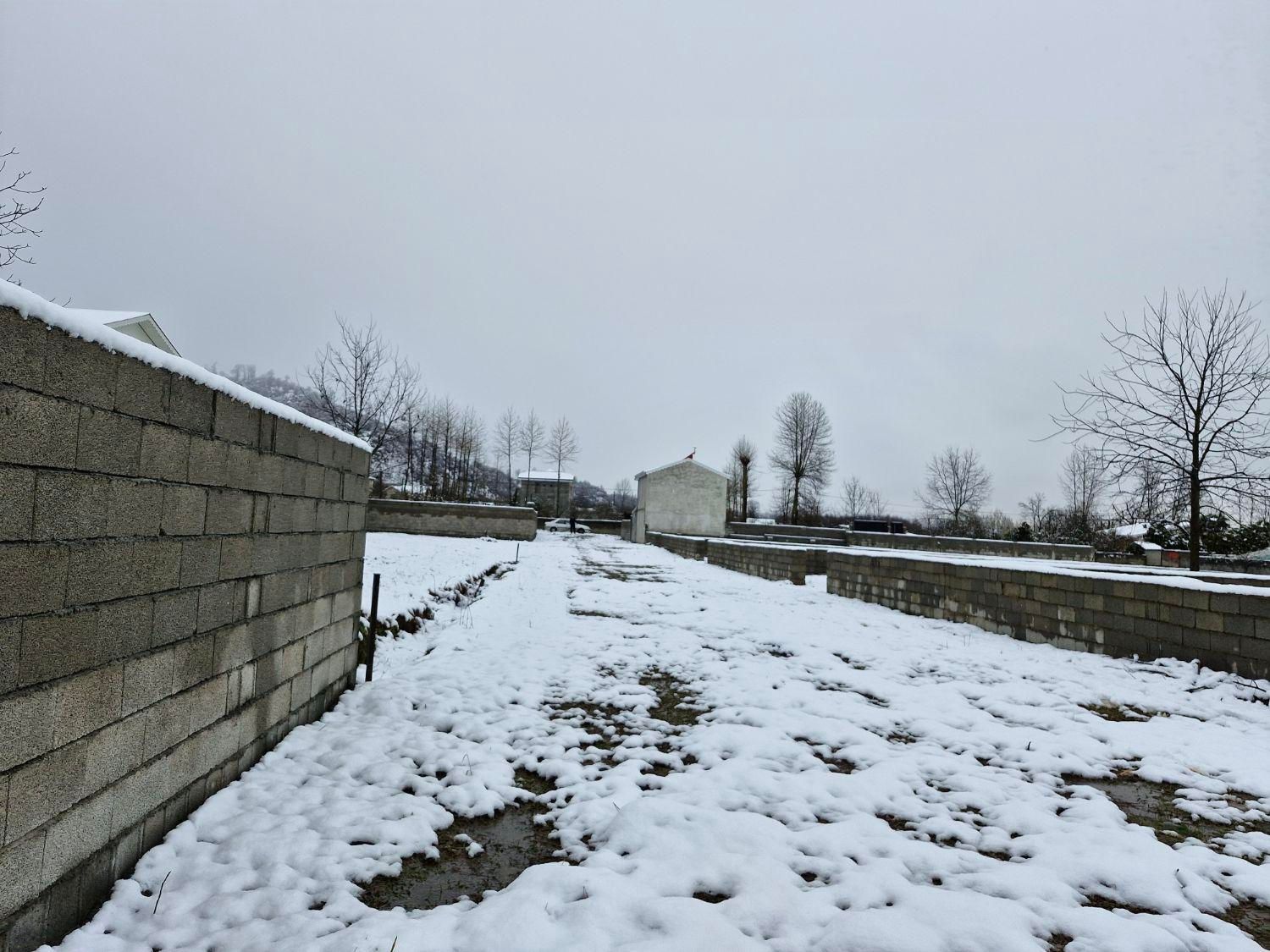 فروش زمین ۲۰۳ متری در هشتپر طولارود میجمع|فروش زمین و ملک کلنگی|تالش, هشتپر|دیوار