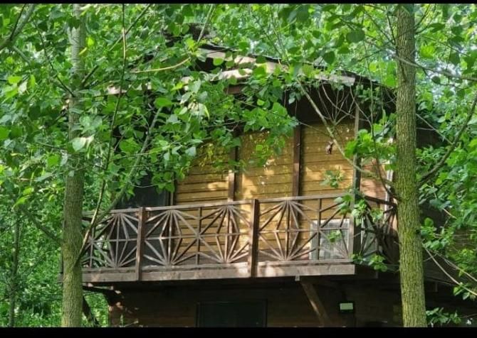 فروش ویلاهای چوبی /در جزایر مصنوعی|فروش خانه و ویلا|سیمین شهر, |دیوار