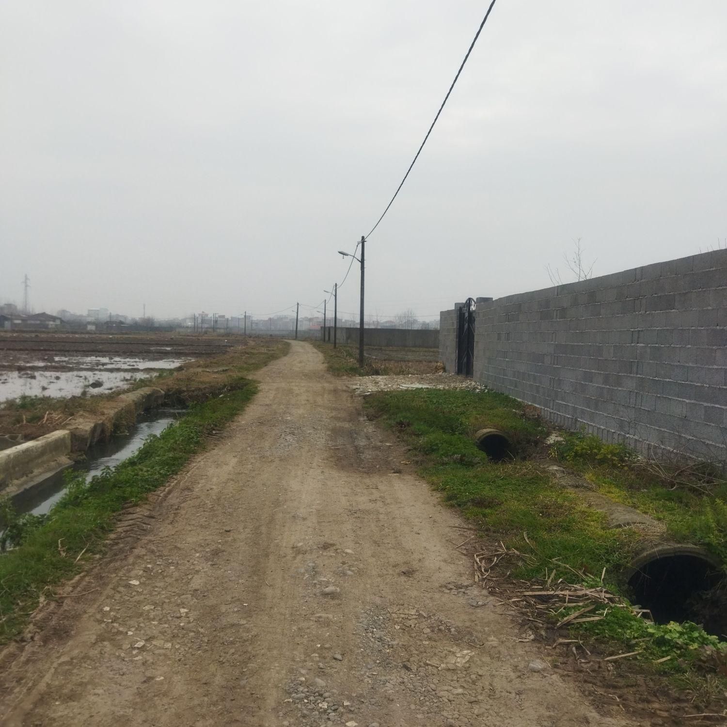 فروش زمین ۱۰۰۰ متری در سیاه اسطلخ|فروش زمین و ملک کلنگی|رشت, سیا اسطلخ|دیوار