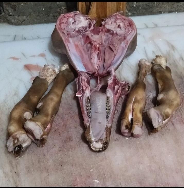 گوسفند زنده همراه با قصاب|حیوانات مزرعه|تهران, نارمک|دیوار