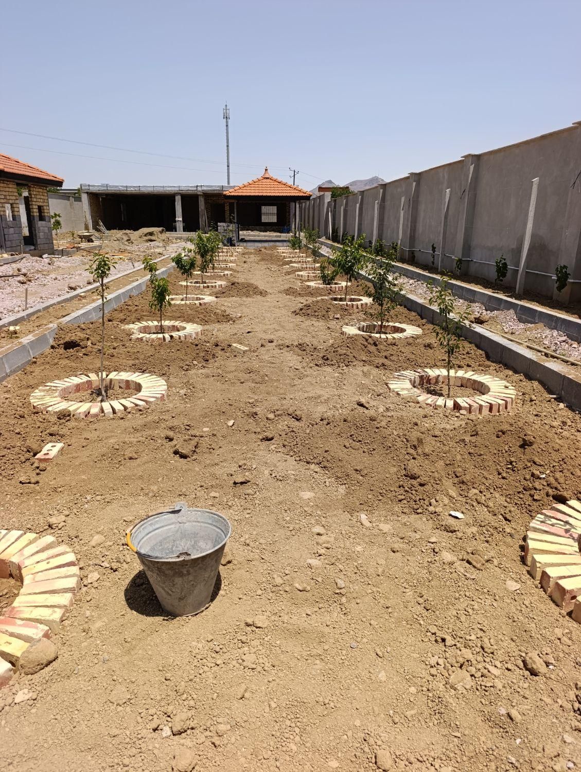 چمن کاری گل کاری حرص کار|خدمات باغبانی و درختکاری|ارومیه, |دیوار