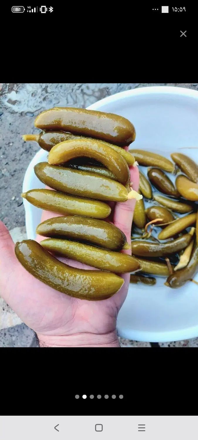 خیارشور تازه و خانگی|خوردنی و آشامیدنی|مشهد, شهرک امام هادی (شهرک غرب)|دیوار