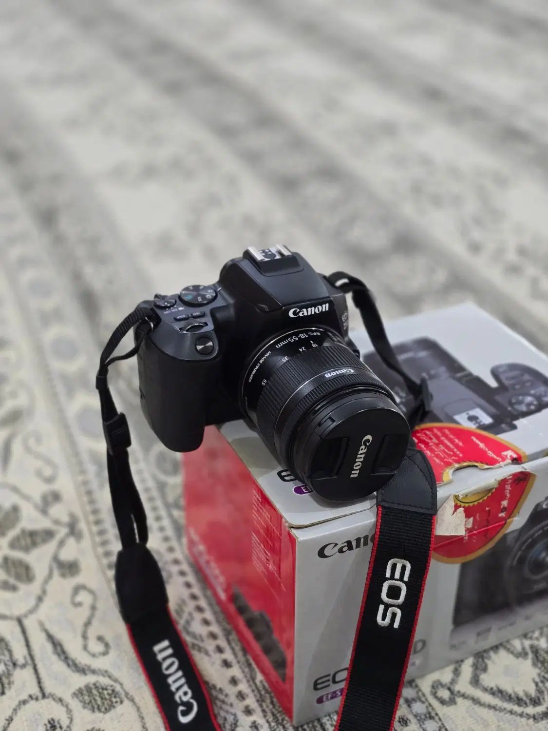 دوربین کانن Canon 250D نو|دوربین عکاسی و فیلم‌برداری|تهران, مینای جنوبی|دیوار
