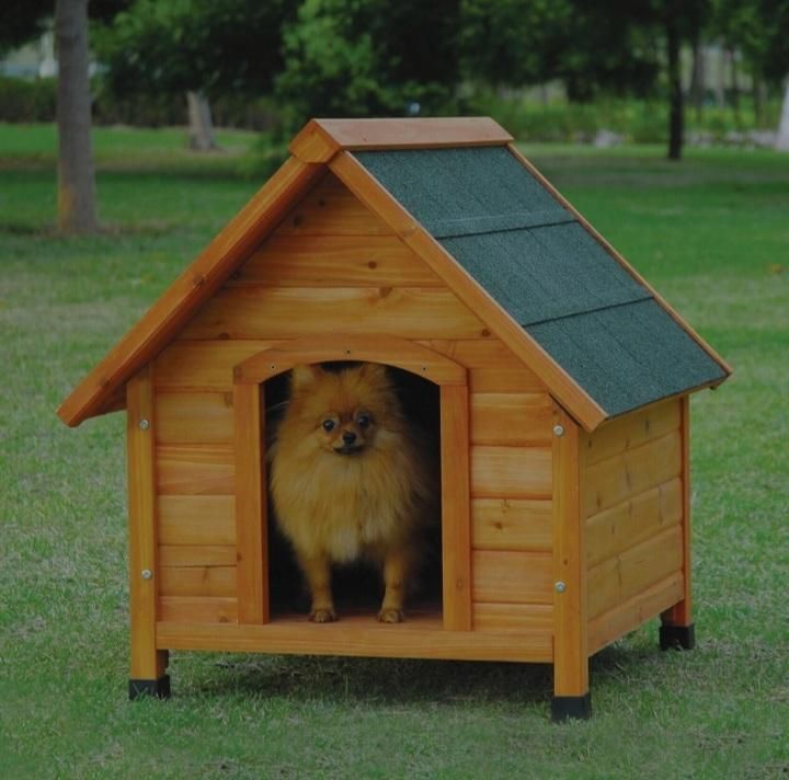 انواع لانه سگ|لوازم جانبی حیوانات|رشت, انصاری|دیوار