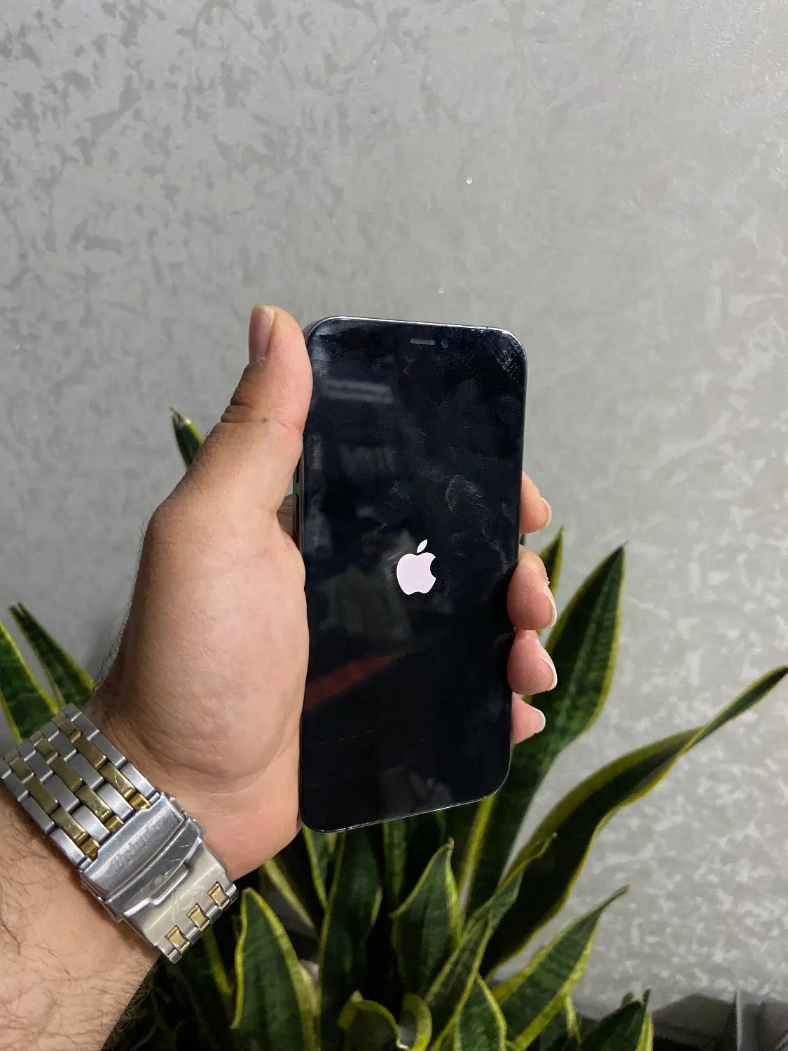 iPhoneایفون ۱۲ پرو zaاقساط بدون پیش اداپتوررایگان|موبایل|اصفهان, احمدآباد|دیوار