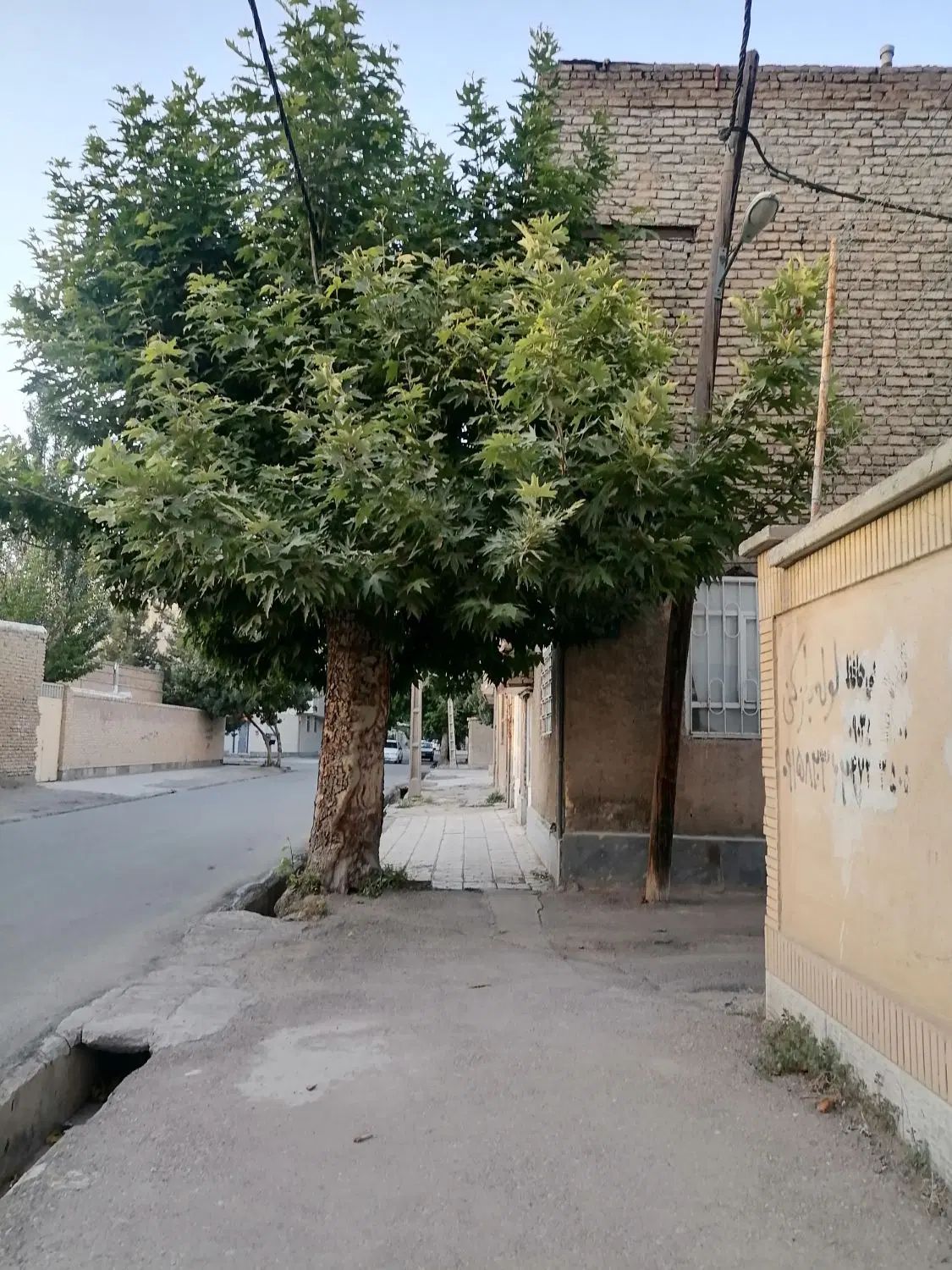 بهترین سرمایه گذاری. مغازه درخیابان حافظ|اجارهٔ مغازه و غرفه|قوچان, |دیوار