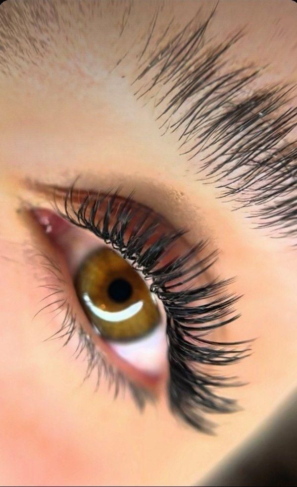 اکستنشن مژه/لیفت/کاشت/ابرو/هیدن|خدمات آرایشگری و زیبایی|کرج, المهدی|دیوار