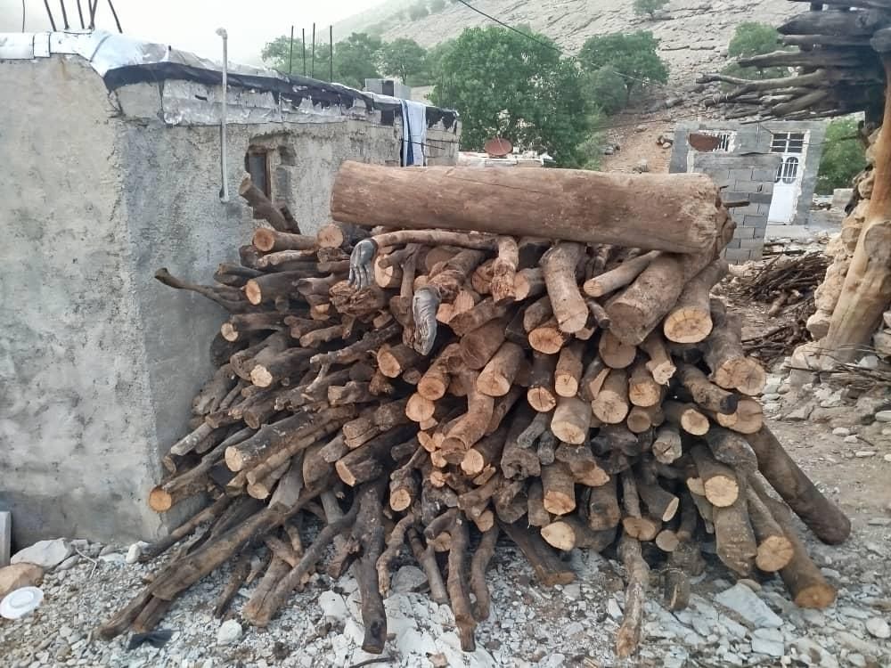 خریدار هر نوع چوب شما|خدمات باغبانی و درختکاری|شیراز, شهرک مدرس|دیوار