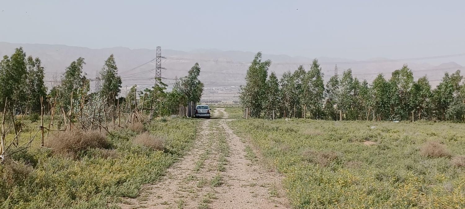 زمین موقعیت صنفی وخدماتی وسرمایه گذاری|فروش دفتر صنعتی، کشاورزی، تجاری|خاوران, |دیوار