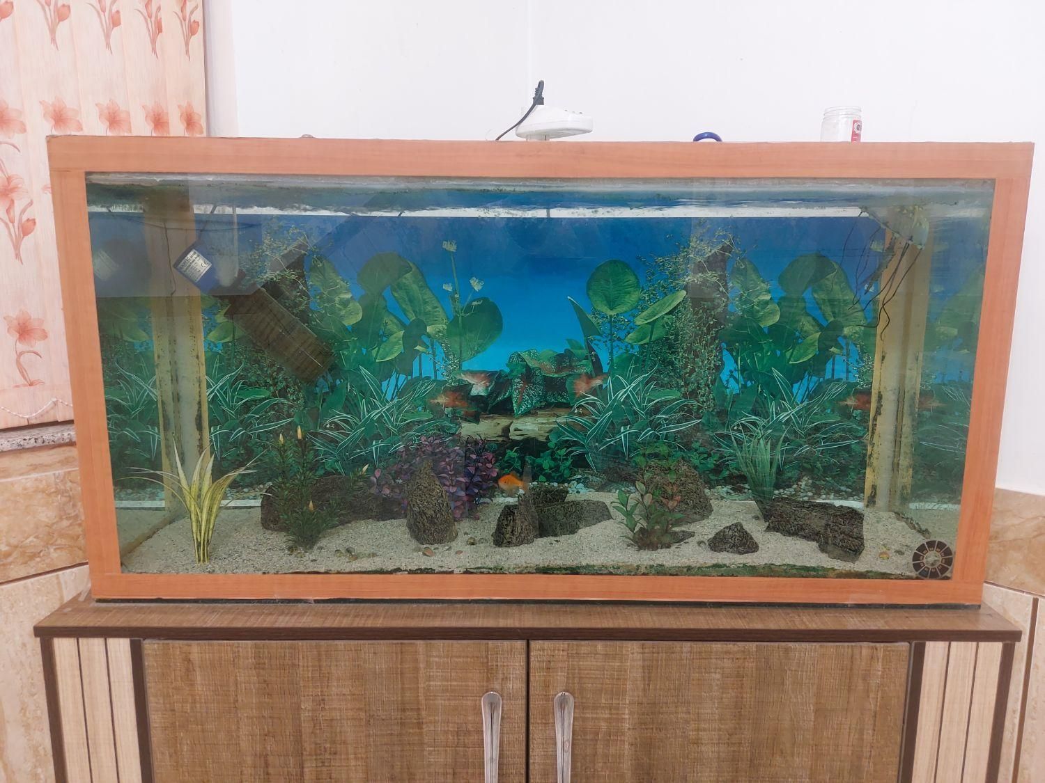 فروش آکواریوم بزرگ|ماهی|شهرکرد, |دیوار