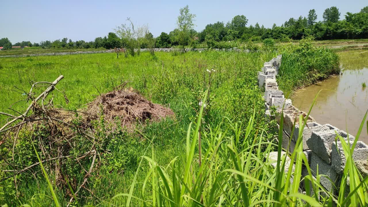 فروش زمین در روستای چهارده|فروش زمین و ملک کلنگی|آستانه اشرفیه, |دیوار