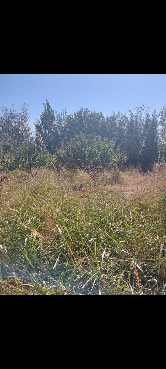 باغچه ۷۰۰ متری در فیروزبهرام ( جنوب غربی تهران )|فروش زمین و ملک کلنگی|تهران, یافت‌آباد|دیوار