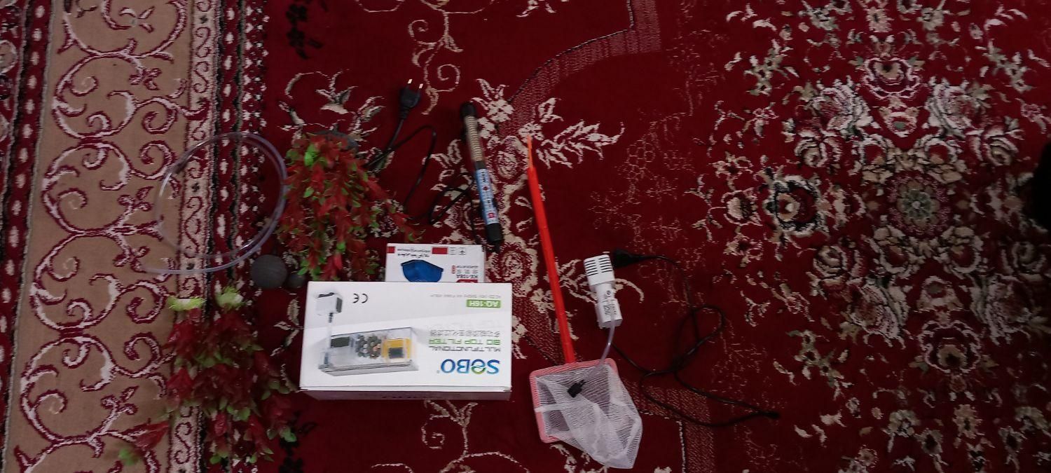 اکواریوم۱۰۰ لیتری|ماهی|دوگنبدان, |دیوار