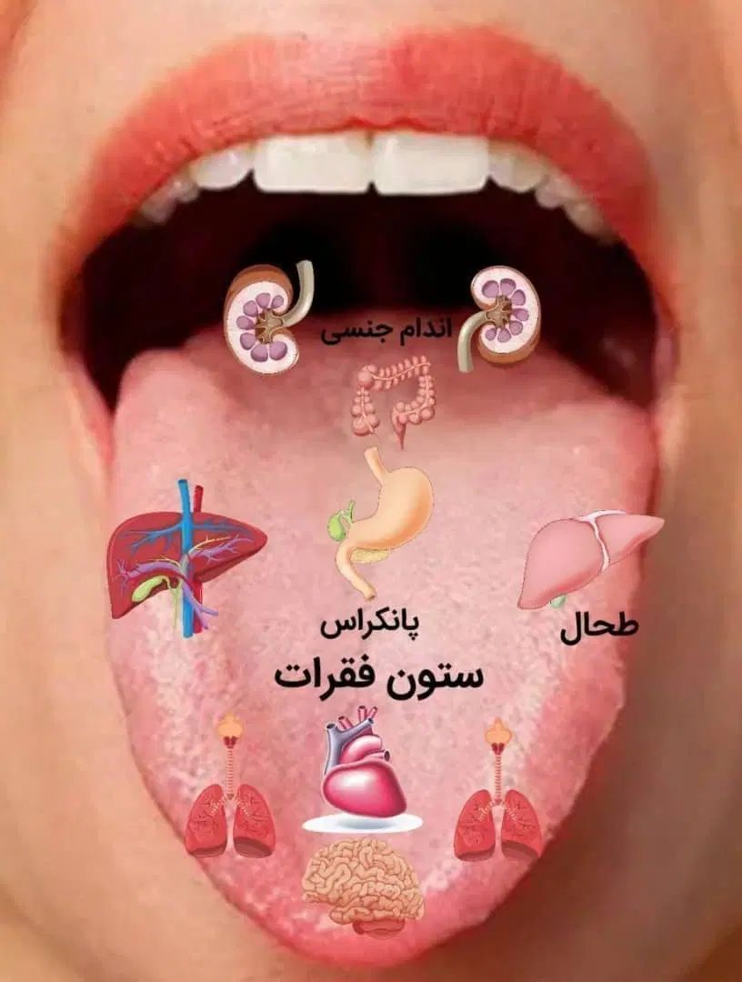 آموزش و استخدام درزمینه طب سنتی|خدمات آموزشی|تهران, زیبادشت|دیوار