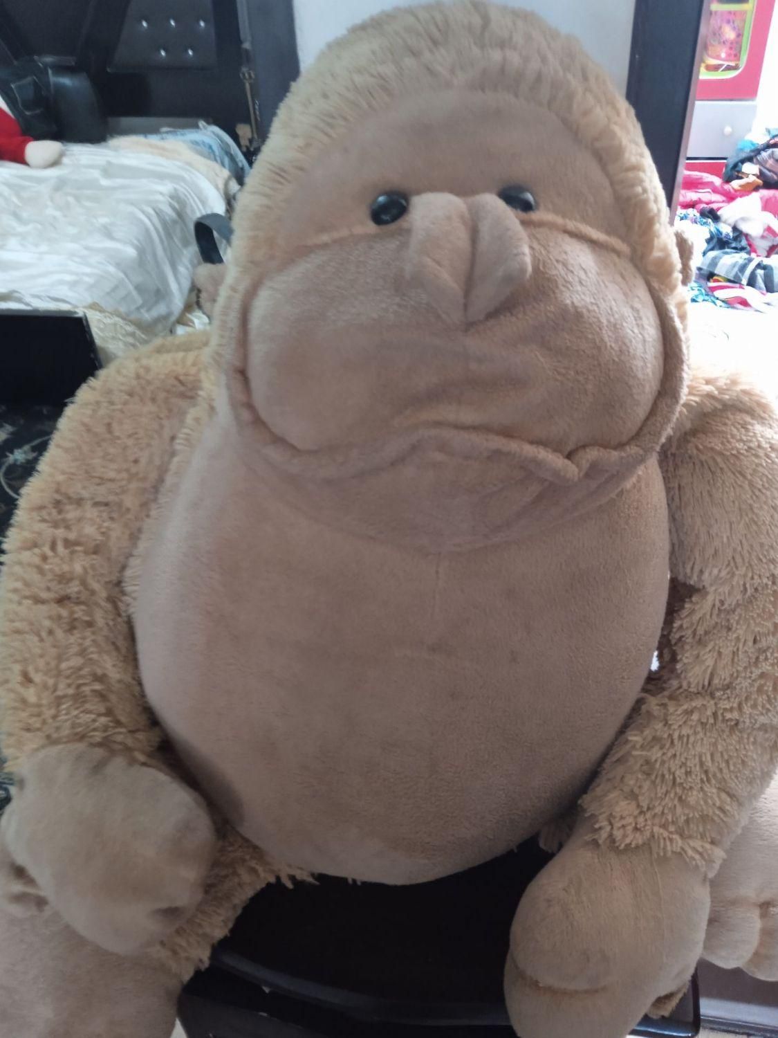 میمون|کلکسیون و سرگرمی|تربت‌حیدریه, پایانه مسافربری تربت حیدریه|دیوار