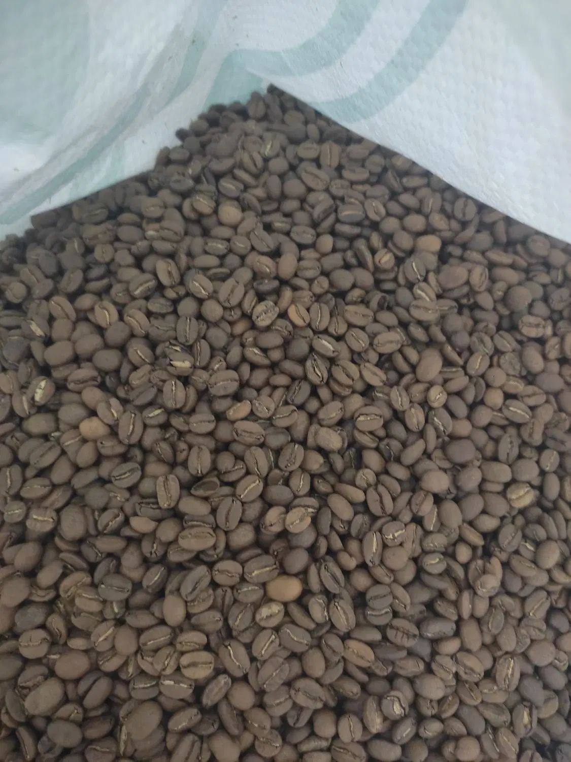 عربیکا|خوردنی و آشامیدنی|رشت, رودباری|دیوار