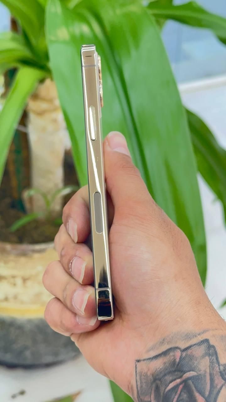 اپل iPhone 12 Pro با حافظهٔ ۲۵۶ گیگابایت|موبایل|اراک, |دیوار