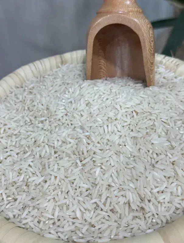 برنج فجر گرگان درجه یک به شرط پخت برنج پاساله هست|خوردنی و آشامیدنی|تالش, تالش|دیوار