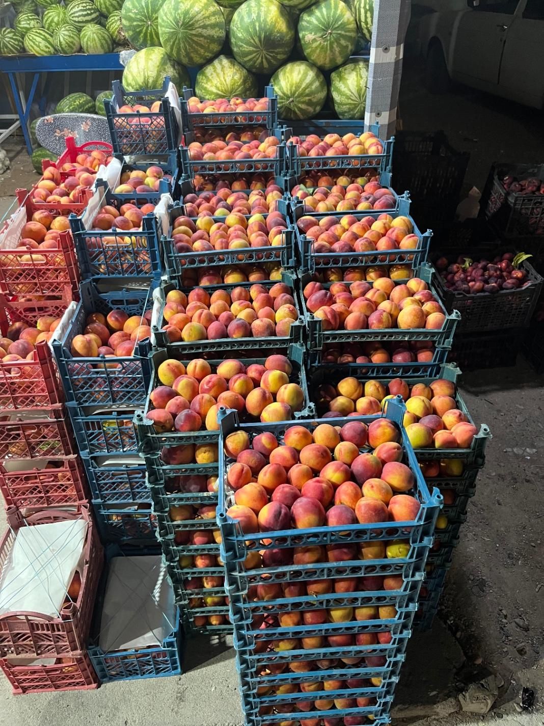 فروشنده مجرب میوه فروشی|استخدام بازاریابی و فروش|شهریار, شهرک وائین|دیوار