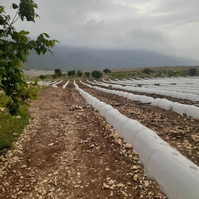 فروش ۳ هکتار با تاسیسات آب چاه عمیق جهت آبمعدنی|فروش دفتر صنعتی، کشاورزی، تجاری|تهران, سنگلج (شاپور)|دیوار