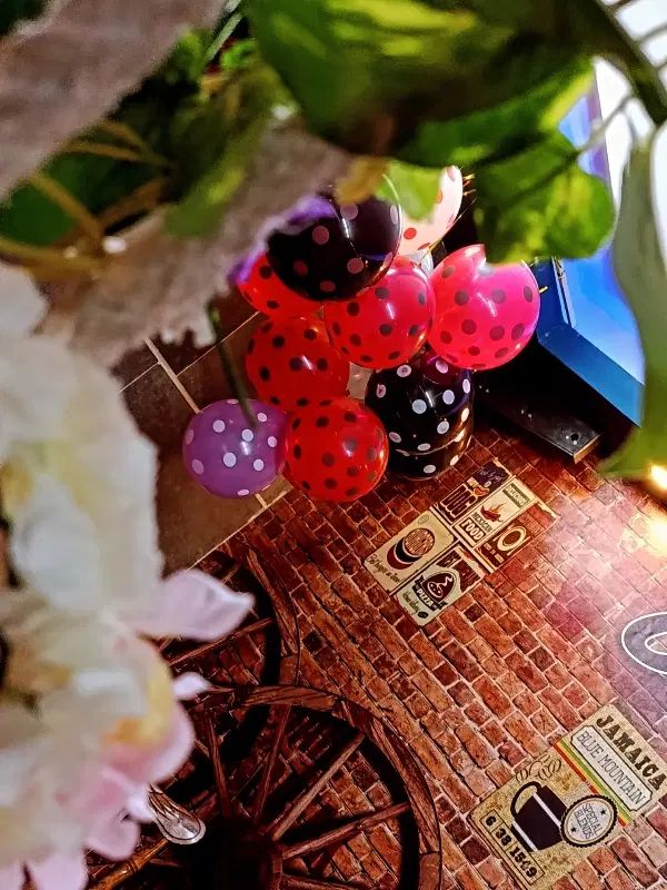 تولد. دور همی. مافیا.|خدمات پذیرایی، مراسم|مشهد, دانشجو|دیوار