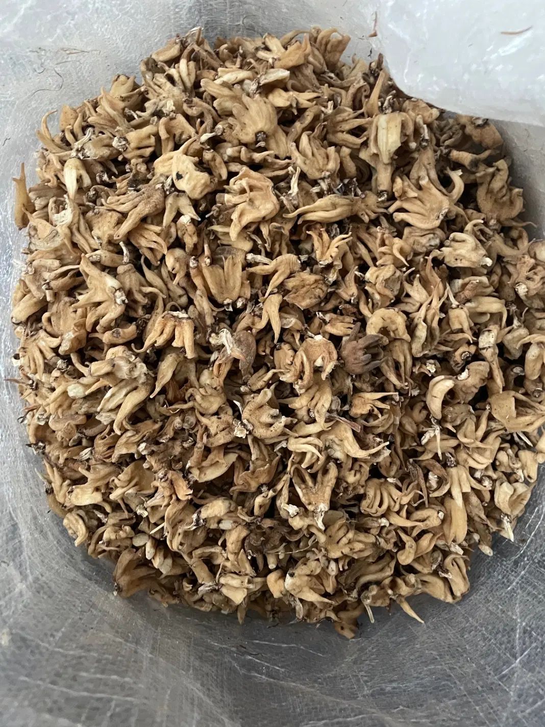 ثعلب|خوردنی و آشامیدنی|تهران, دربند|دیوار