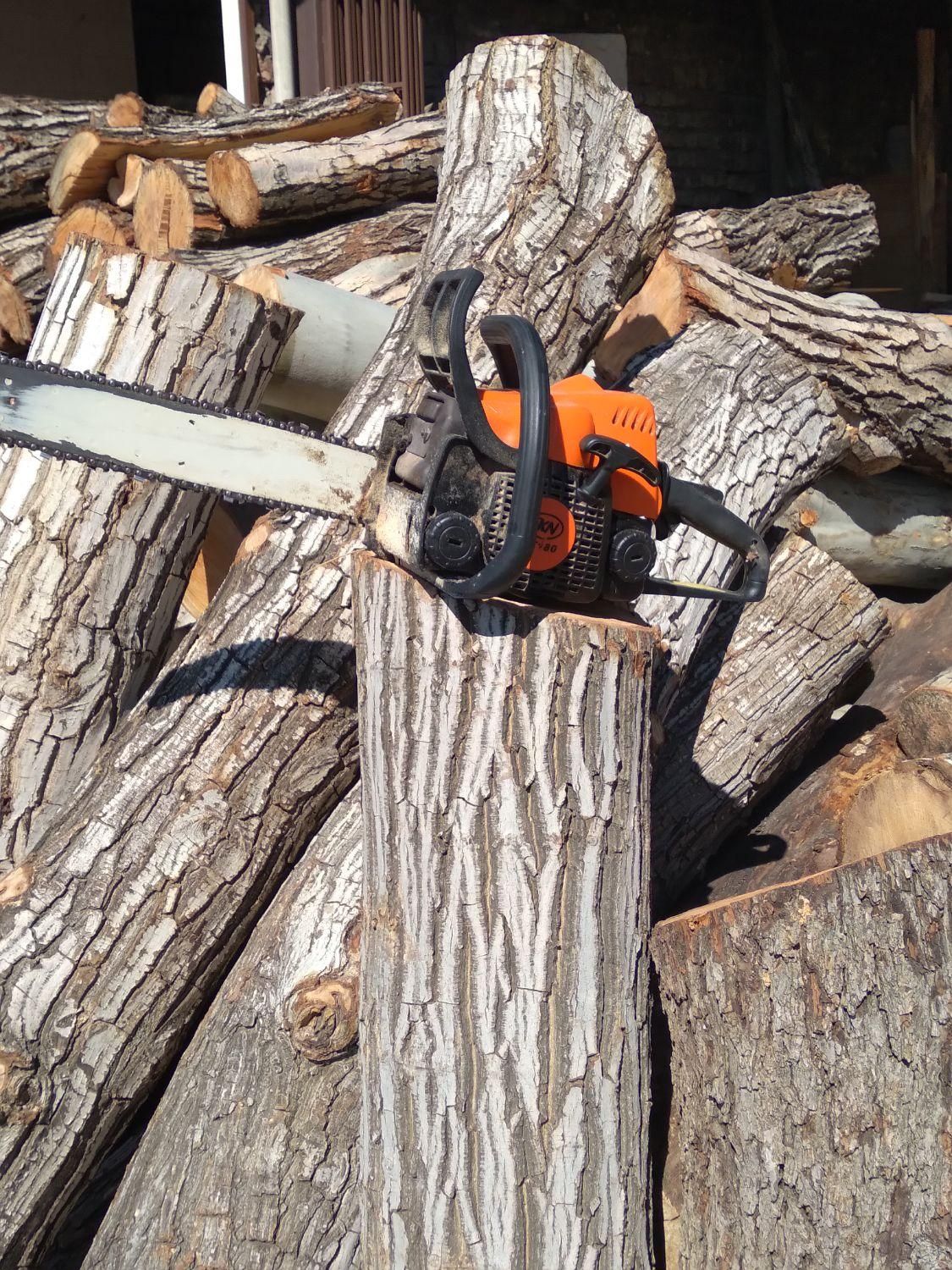 چوب ودرخت|خدمات باغبانی و درختکاری|ساوه, |دیوار