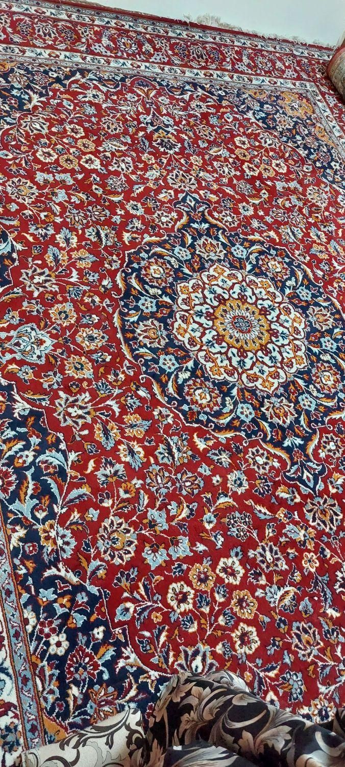دو تخته فرش دستباف 12 متری|فرش|شاهرود, |دیوار