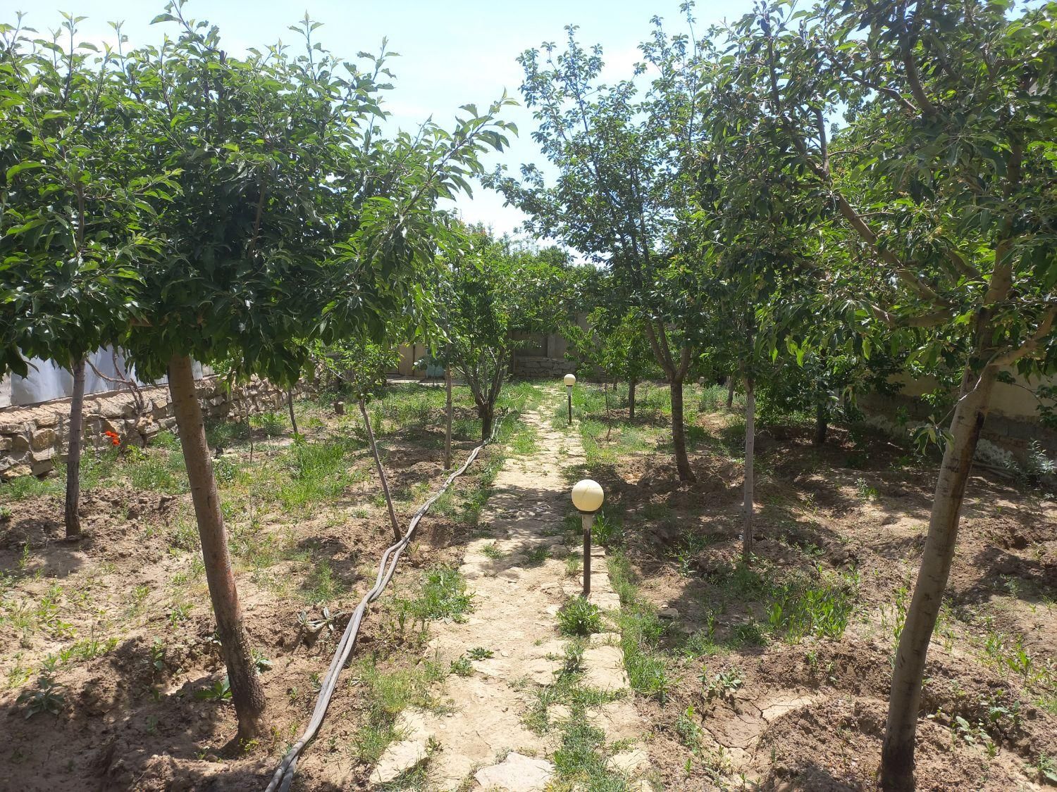 باغ ویلا در محدوه شهر|اجارهٔ کوتاه‌مدت ویلا و باغ|همدان, |دیوار