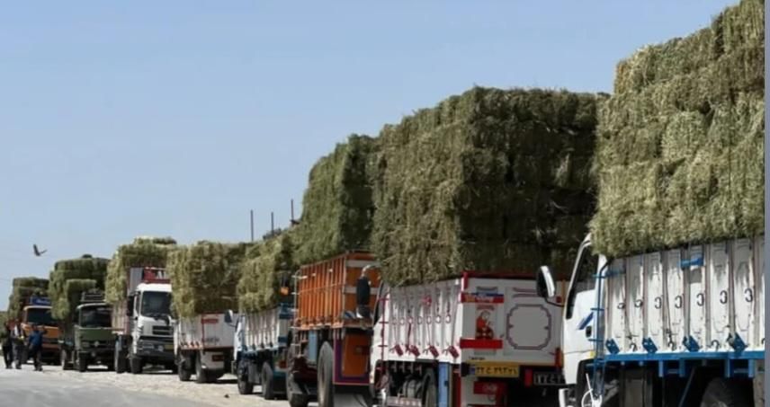 یونجه پرس خشک|خدمات باغبانی و درختکاری|شیرین‌سو, |دیوار