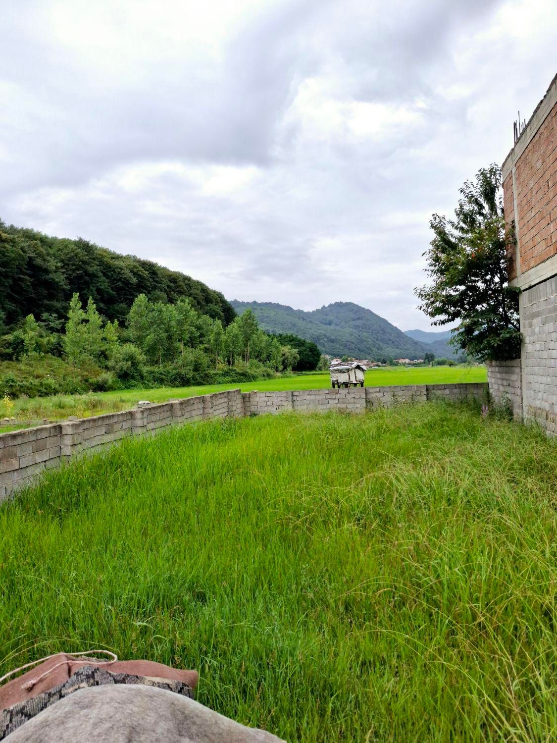 فروش یک قطعه زمین در شهر زیراب ، خیابان ۱۷ شهریور|فروش زمین و ملک کلنگی|زیرآب, |دیوار