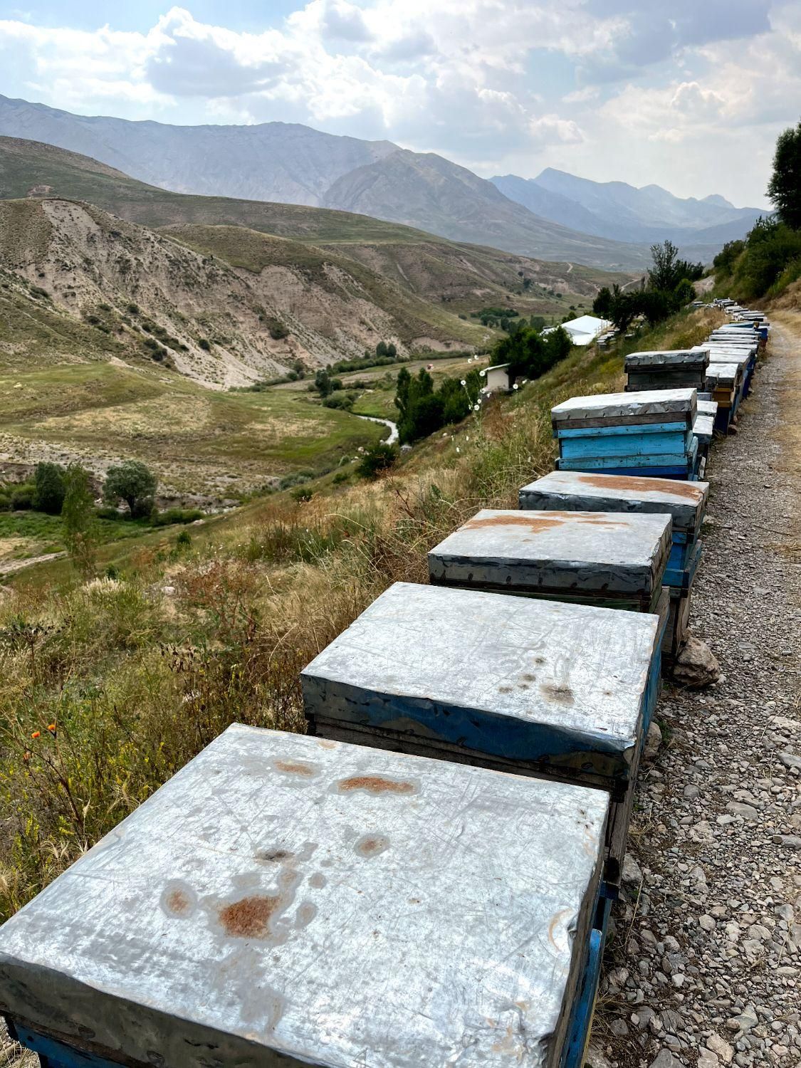 لوازم زنبورداری|عمده‌فروشی|تهران, دریان‌نو|دیوار