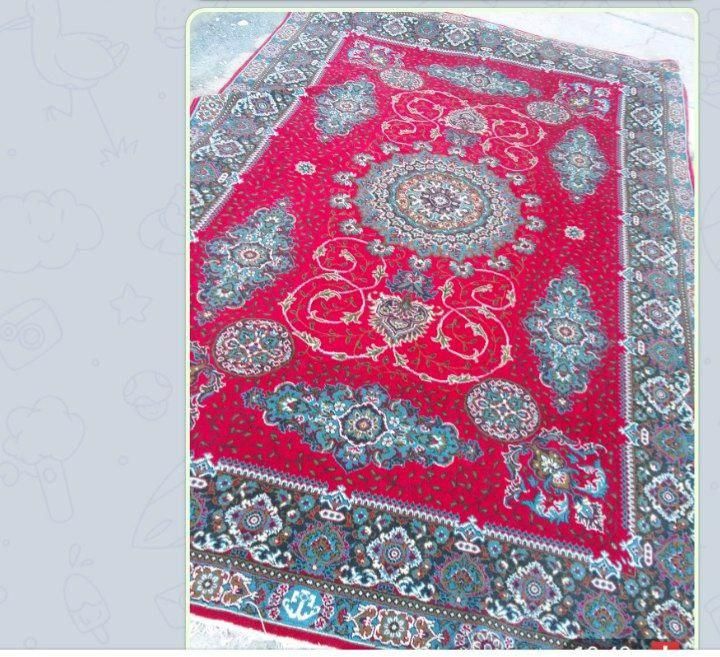 فرش|فرش|تربت‌حیدریه, شهرک ولیعصر|دیوار