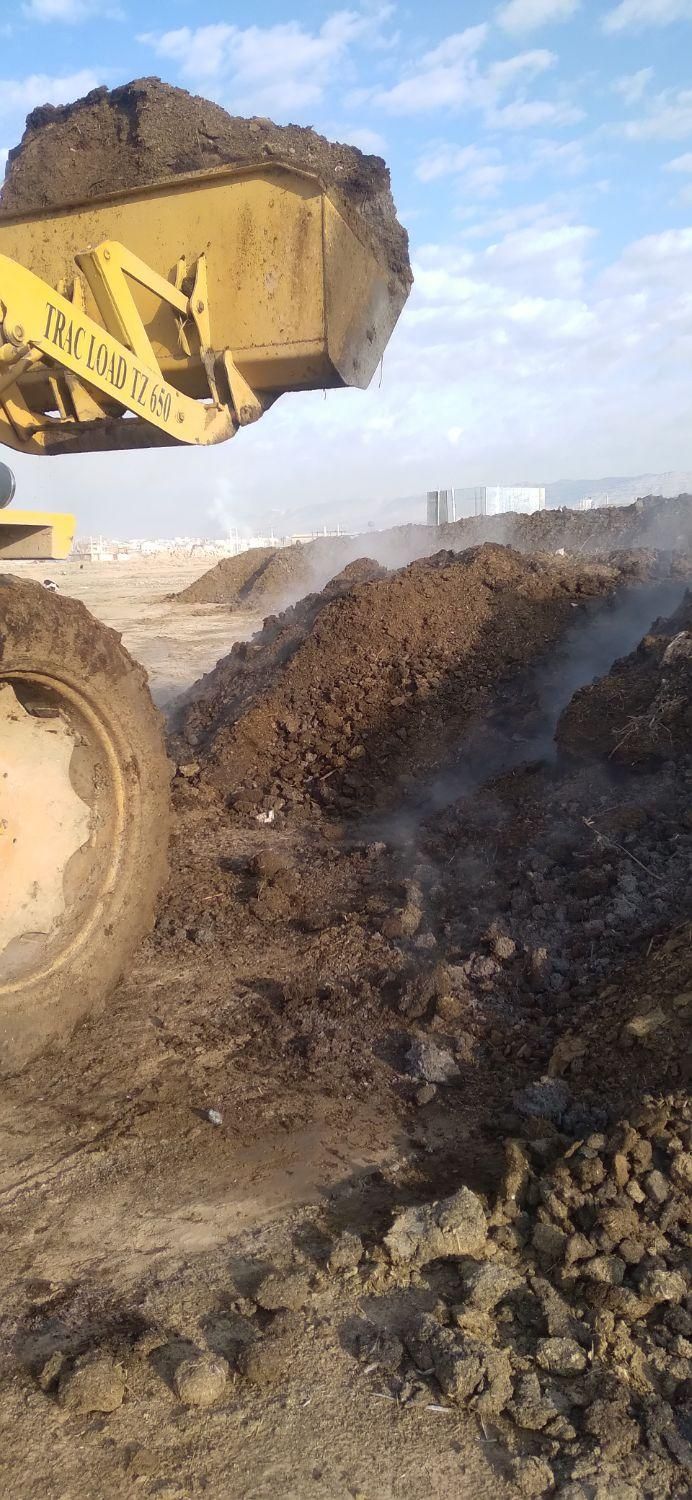 خرید فروش کود حیوانی|خدمات باغبانی و درختکاری|کوهدشت, |دیوار