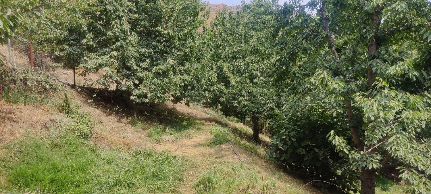زمین ۳۰۰ متری مسکونی ،خشکچال، بالای قلعه حسن صباح|فروش زمین و ملک کلنگی|قزوین, |دیوار