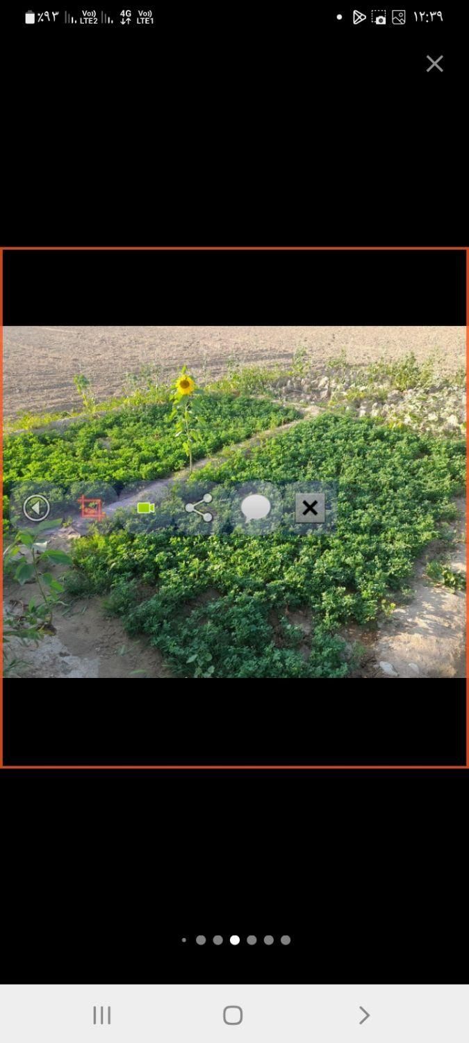 زمین کشاورزی ۸ هکتار سند ثبتی تک برگ با چاه آب|فروش دفتر صنعتی، کشاورزی، تجاری|برازجان, |دیوار