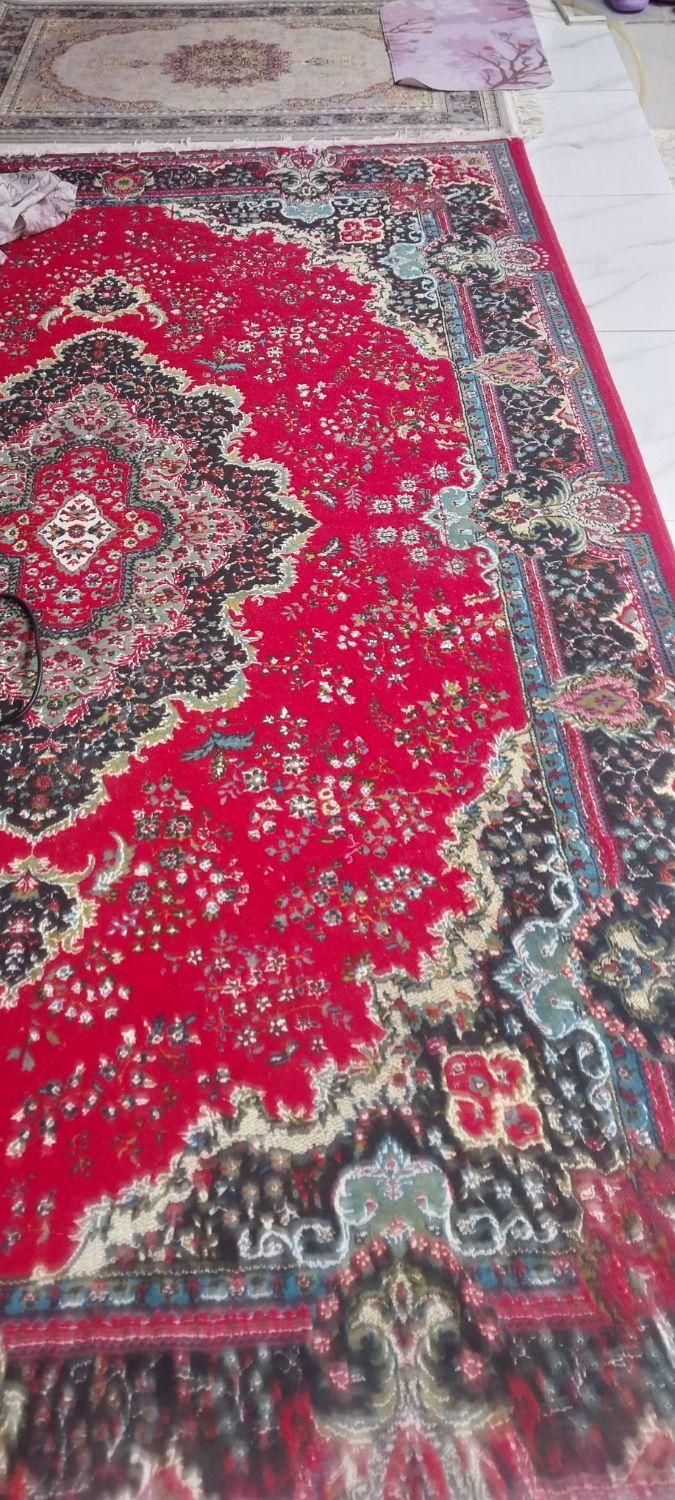 ۳ تخته فرش ۶ متری|فرش|رشت, تازه آباد|دیوار
