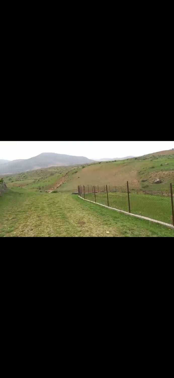 10000هزار متر زمین کشاورزی سند دار|فروش زمین و ملک کلنگی|دیلمان, |دیوار