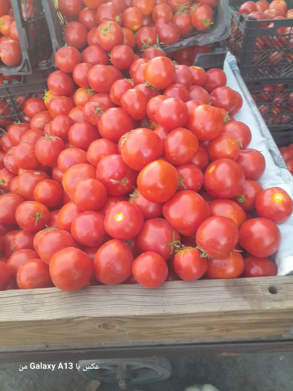 گوجه ربی شیراز وسط قرمز بدون تخمه|خوردنی و آشامیدنی|اصفهان, شهرک کاوه|دیوار