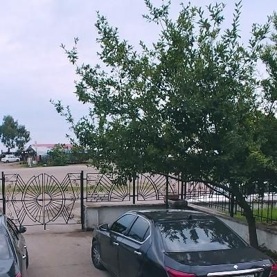 مسافر از زابل به زاهدان ساعت ۸ و نیم صبح|خدمات حمل و نقل|زابل, |دیوار